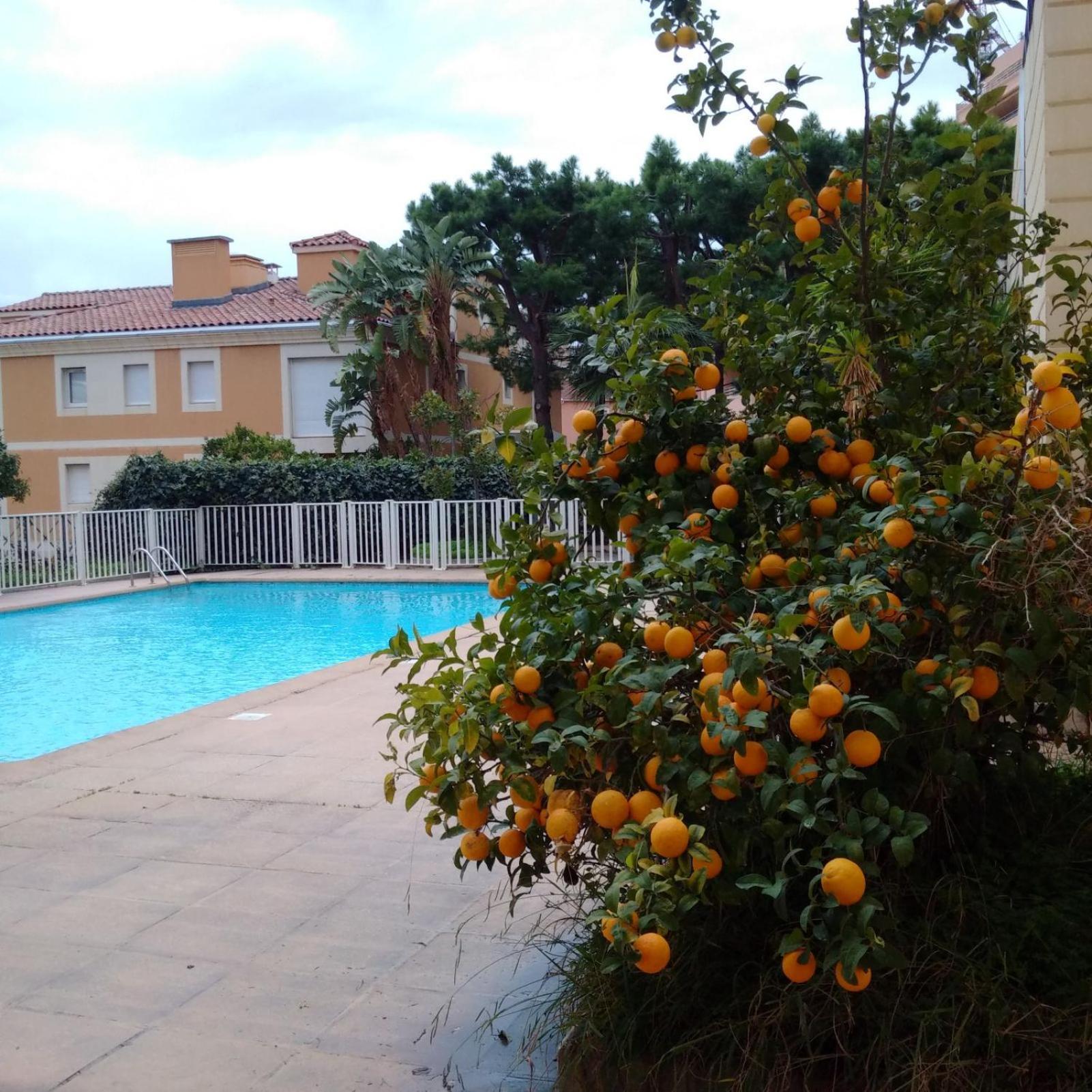 Direct Monaco Studio Devant Piscine โบโซเลย ภายนอก รูปภาพ